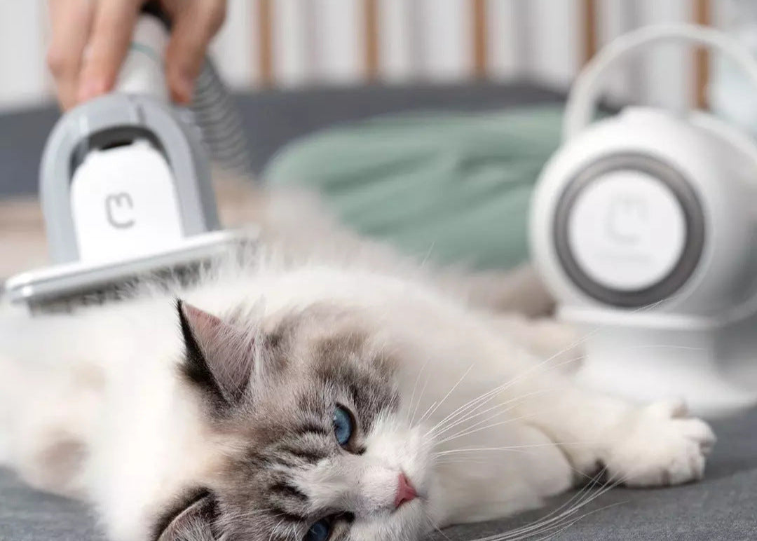 Smart Grooming und Haarsauger für die Tierrasur